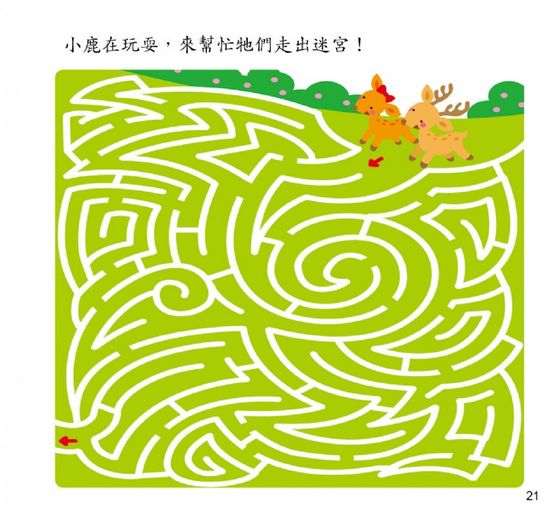 思維遊戲書： 迷宮大挑戰–進階版